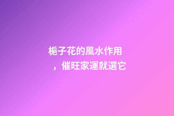 梔子花的風水作用，催旺家運就選它